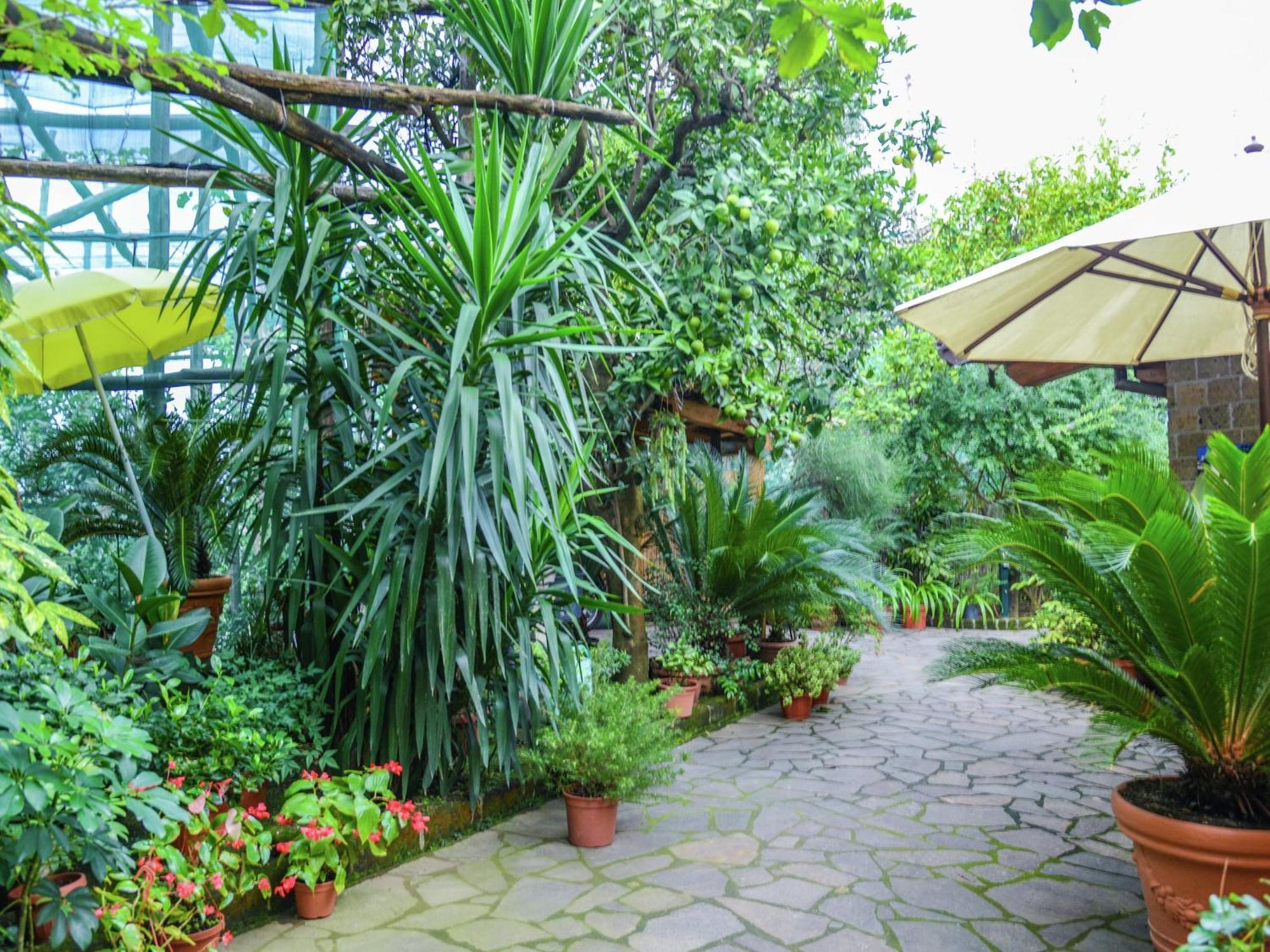 Holiday home Luxurious Mansion In With Garden Sorrento